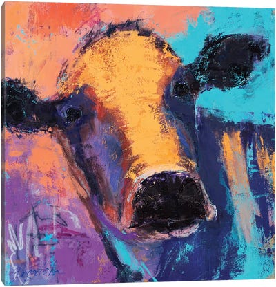 Purple Cow Canvas Art Print - Olena Bogatska