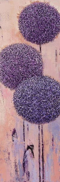 Alliums: Garden Geometry #4 by Olena Bogatska