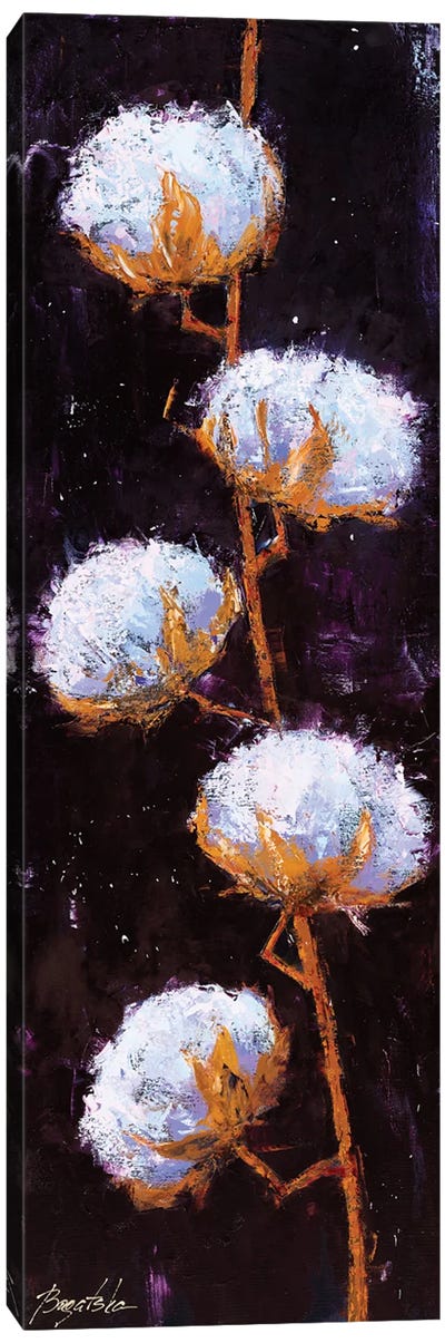 Cotton Branch Canvas Art Print - Olena Bogatska