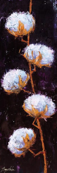 Cotton: Cotton Branch by Olena Bogatska