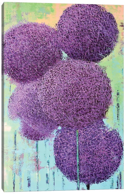 Allium VI Canvas Art Print - Olena Bogatska