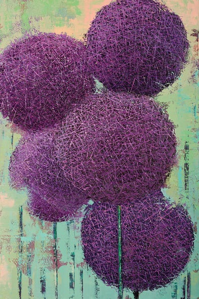 Allium VI by Olena Bogatska metal wall art