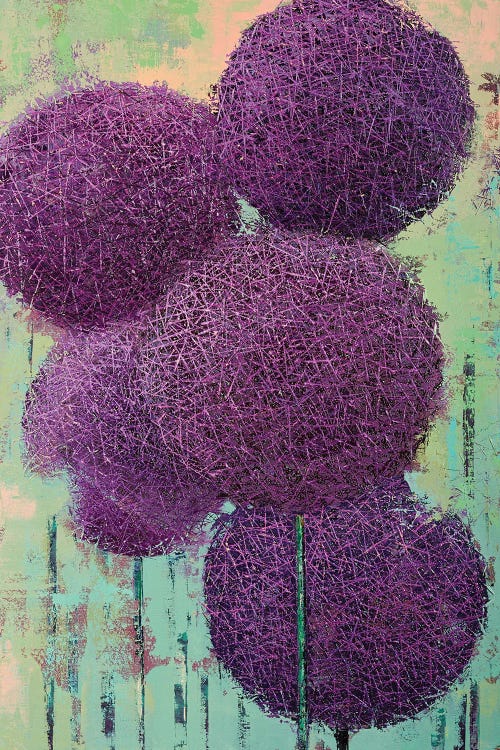 Allium VI by Olena Bogatska wall art