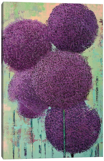 Allium VI Canvas Art Print - Olena Bogatska