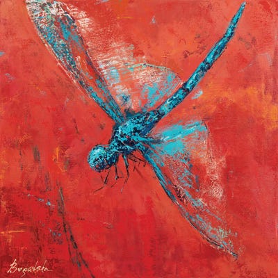 Blue Dragonfly III by Olena Bogatska metal wall art