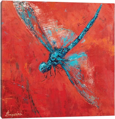 Blue Dragonfly III Canvas Art Print - Olena Bogatska