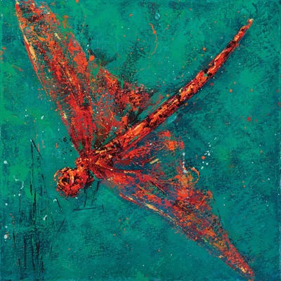 Red Dragonfly V by Olena Bogatska framed canvas print