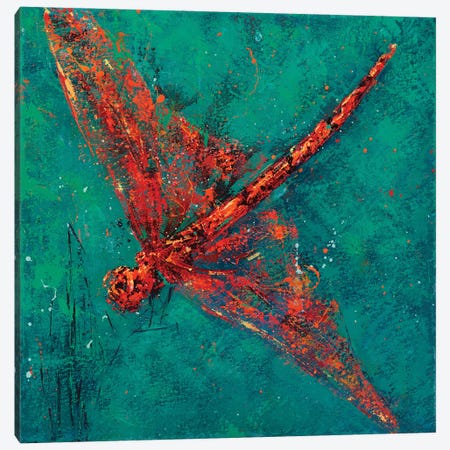 Red Dragonfly V Canvas Print #OBO154} by Olena Bogatska Canvas Print