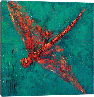 Red Dragonfly V Canvas Art Print - Olena Bogatska