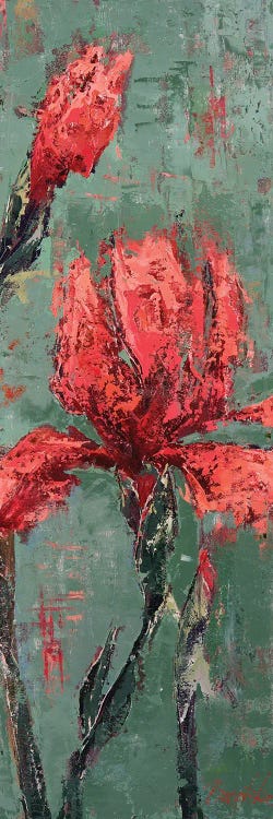 Red Iris III by Olena Bogatska wall art