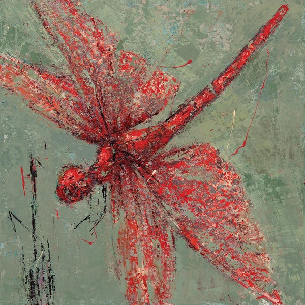 Dragonflies: Red Dragonfly VII by Olena Bogatska