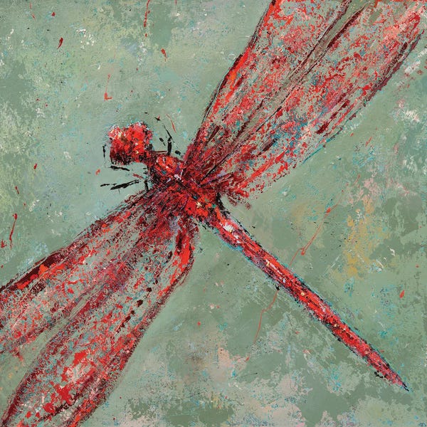 Dragonflies: Red Dragonfly VIII by Olena Bogatska