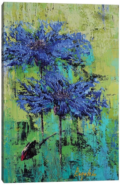 Cornflowers I Canvas Art Print - Olena Bogatska