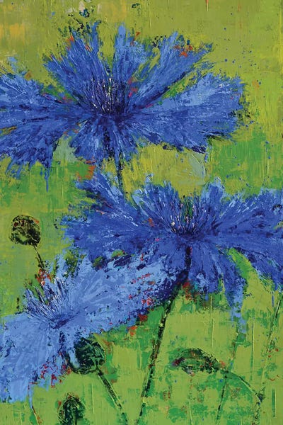 Cornflowers: Cornflowers II by Olena Bogatska