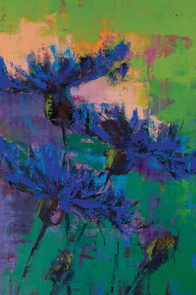 Cornflowers: Cornflowers IV by Olena Bogatska