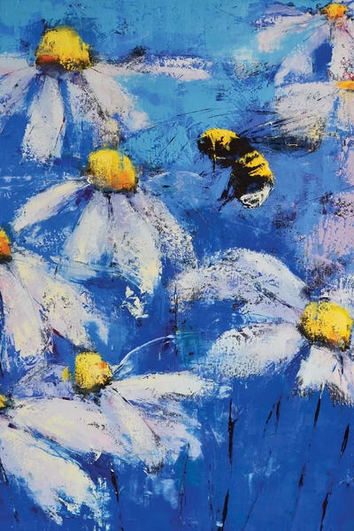 Daises Ii by Olena Bogatska metal wall art