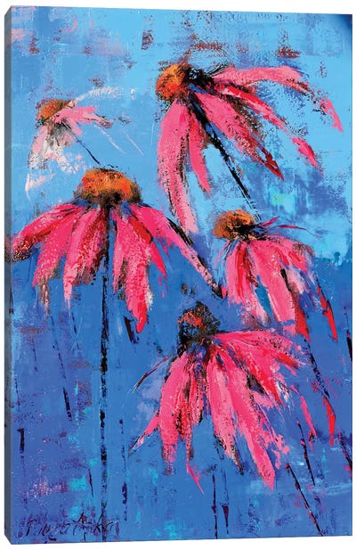 Echinacea Canvas Art Print - Olena Bogatska