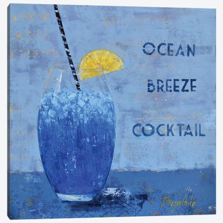 Ocean Breeze Cocktail Canvas Print #OBO47} by Olena Bogatska Canvas Print