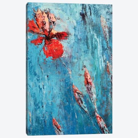 Red Iris I Canvas Print #OBO60} by Olena Bogatska Canvas Art