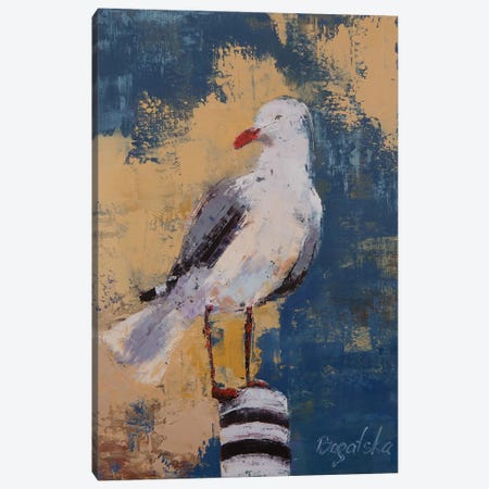 Seagull I Canvas Print #OBO66} by Olena Bogatska Canvas Art Print