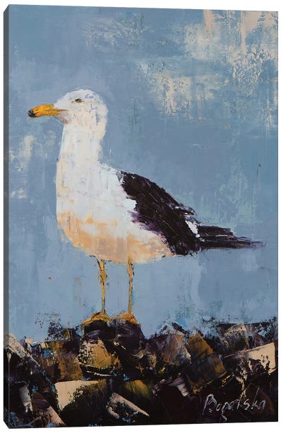 Seagull II Canvas Art Print - Olena Bogatska
