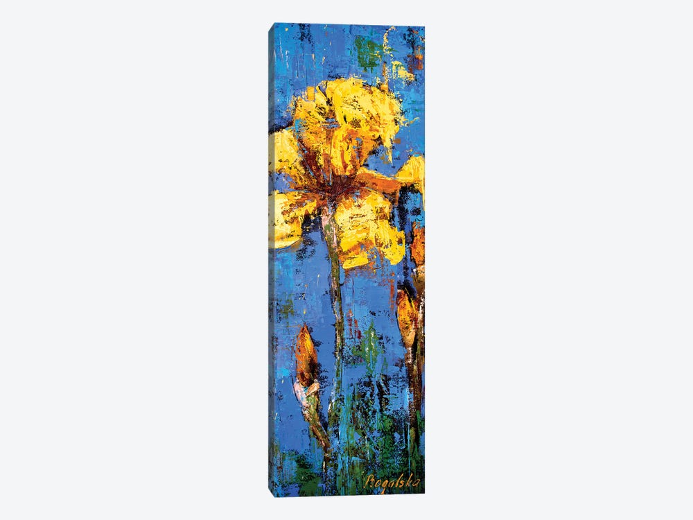 Yellow Iris by Olena Bogatska 1-piece Canvas Art Print