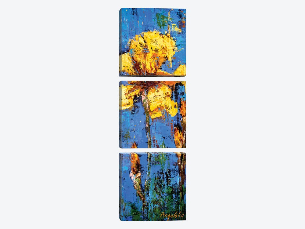 Yellow Iris by Olena Bogatska 3-piece Canvas Art Print