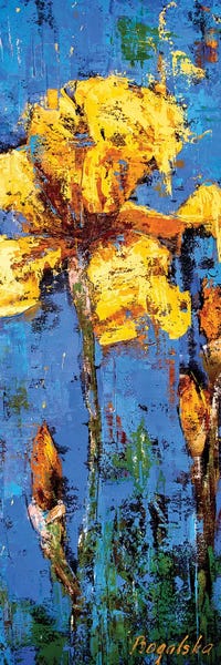 Irises: Yellow Iris by Olena Bogatska