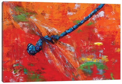 Blue Dragonfly Canvas Art Print - Insect & Bug Art