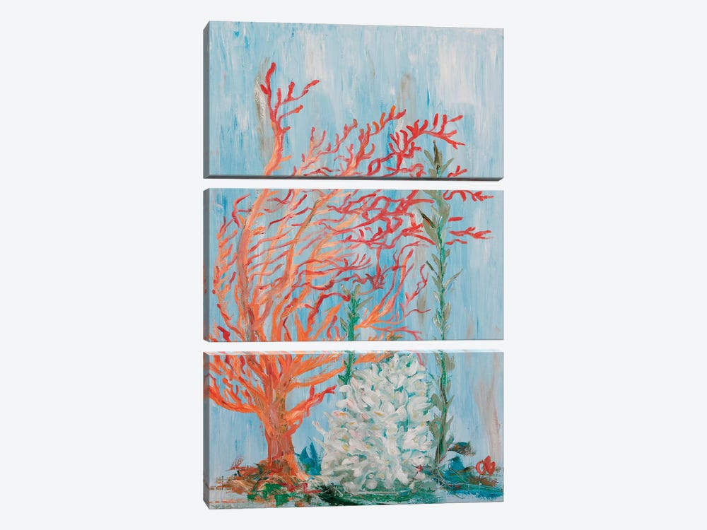 Painterly Coral I by Olivia Brewington 3-piece Canvas Wall Art