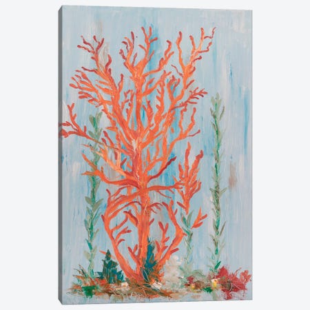 Painterly Coral II Canvas Print #OBR2} by Olivia Brewington Canvas Artwork