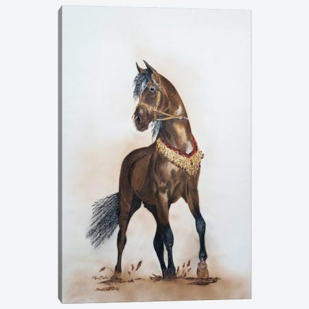 Horse Canvas Print #OBV11} by Olga Belova Canvas Artwork