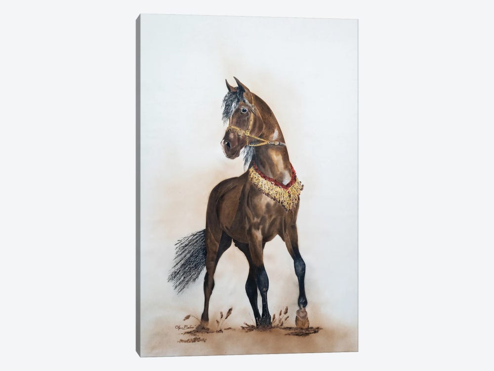 Horse by Olga Belova 1-piece Canvas Print