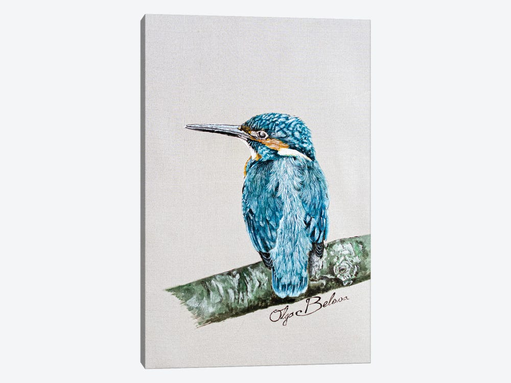 Kingfisher by Olga Belova 1-piece Canvas Wall Art