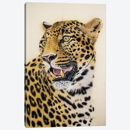 Leopard Canvas Print #OBV13} by Olga Belova Canvas Artwork