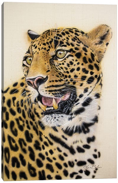 Leopard Canvas Art Print - Olga Belova