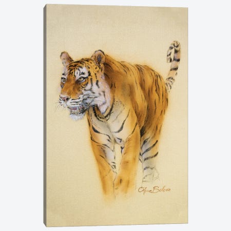 Mini Tiger I Canvas Print #OBV17} by Olga Belova Art Print