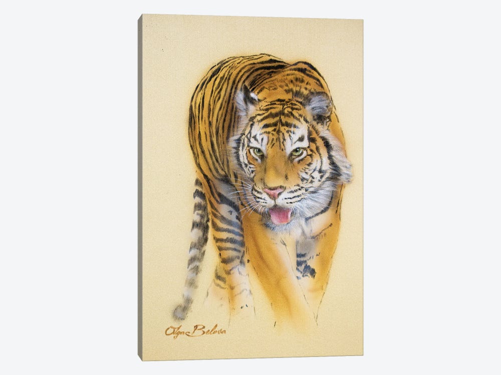 Mini Tiger II by Olga Belova 1-piece Canvas Artwork