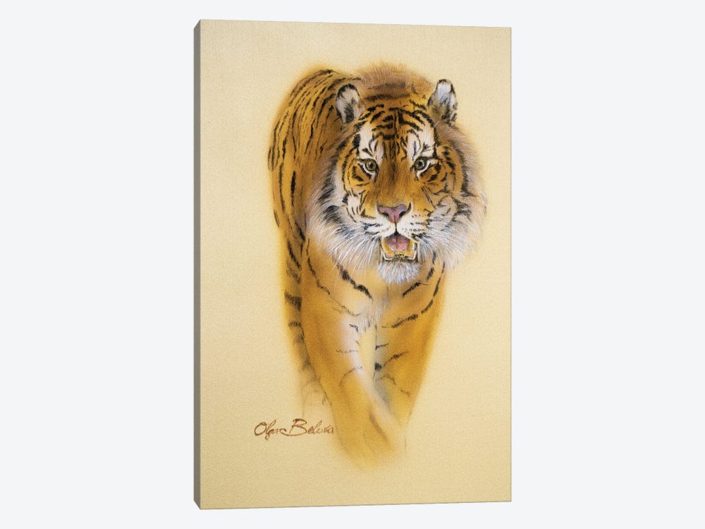 Mini Tiger III by Olga Belova 1-piece Canvas Wall Art