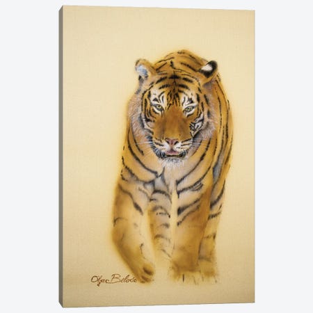 Mini Tiger IV Canvas Print #OBV22} by Olga Belova Art Print