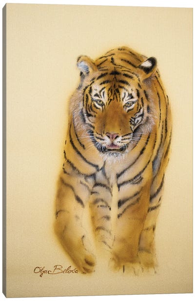 Mini Tiger IV Canvas Art Print - Olga Belova