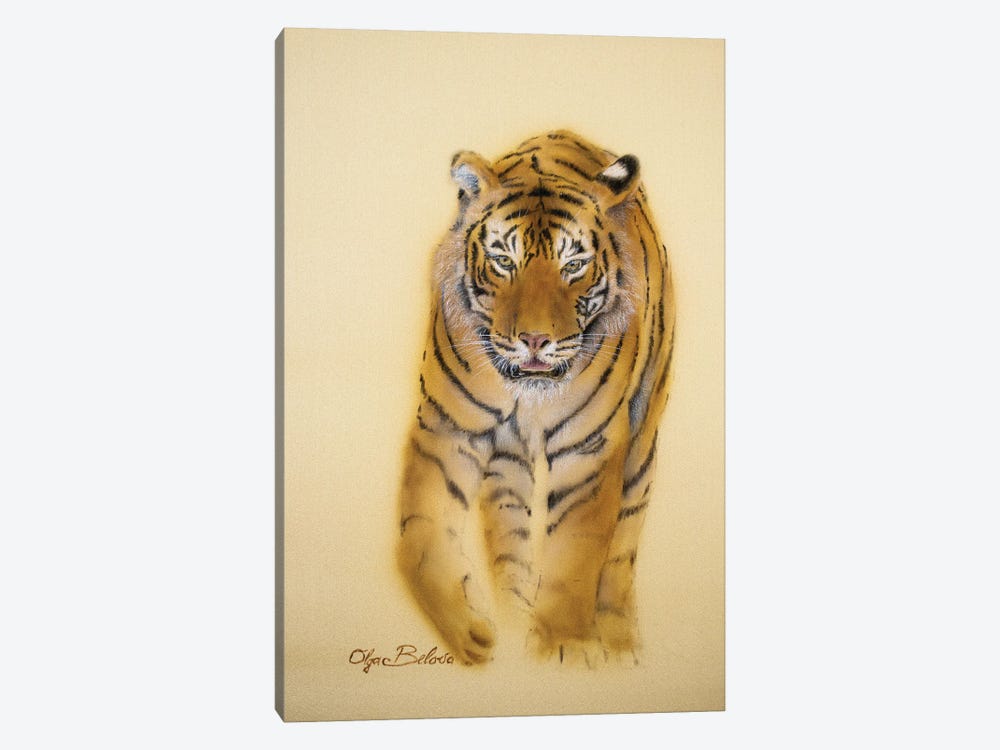 Mini Tiger IV by Olga Belova 1-piece Canvas Art Print