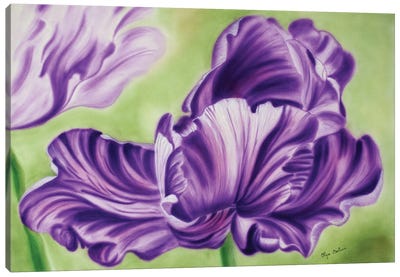 Tulip Canvas Art Print - Tulip Art