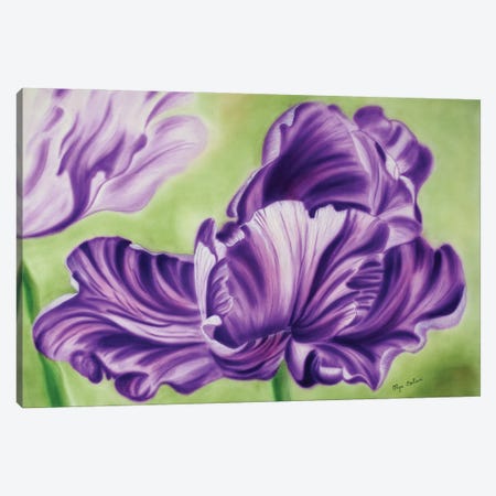 Tulip Canvas Print #OBV32} by Olga Belova Canvas Art