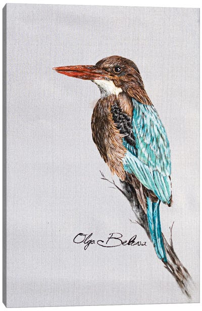 White-Throated Kingfisher Canvas Art Print - Olga Belova