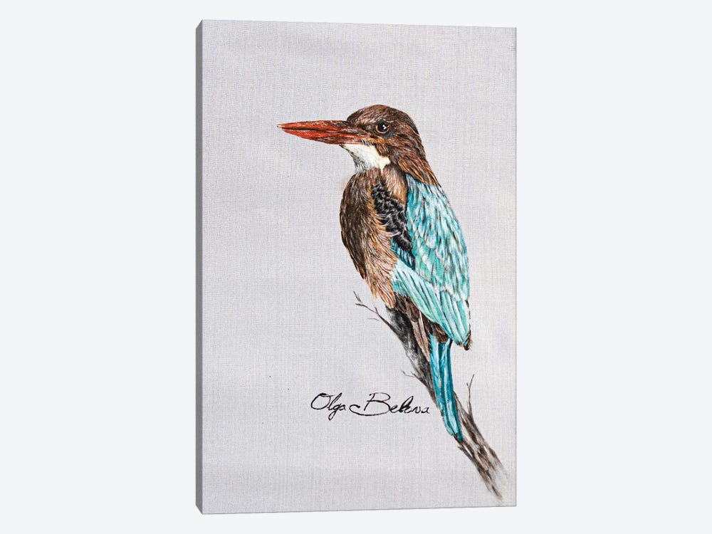 White-Throated Kingfisher by Olga Belova 1-piece Canvas Wall Art