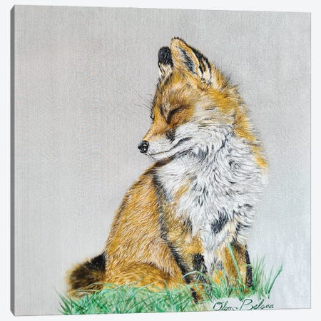 Foxy Canvas Print #OBV36} by Olga Belova Art Print