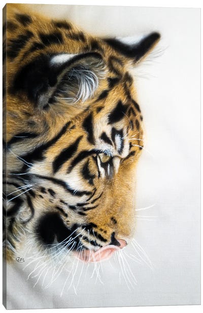 Tiger Portreit Canvas Art Print - Olga Belova