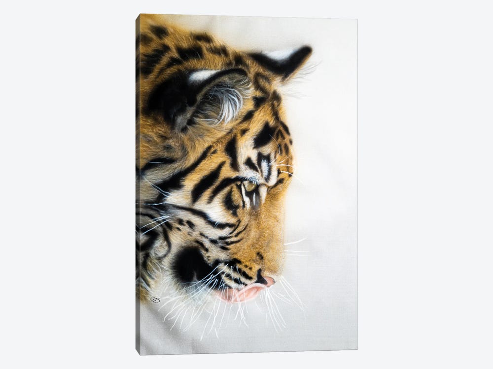 Tiger Portreit by Olga Belova 1-piece Art Print