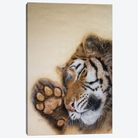 Dreamy Tiger II Canvas Print #OBV39} by Olga Belova Canvas Wall Art